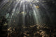 Bright Sunbeams Filter Wall Decal