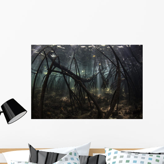 Bright Sunbeams Filter Sandy Bottom Wall Decal