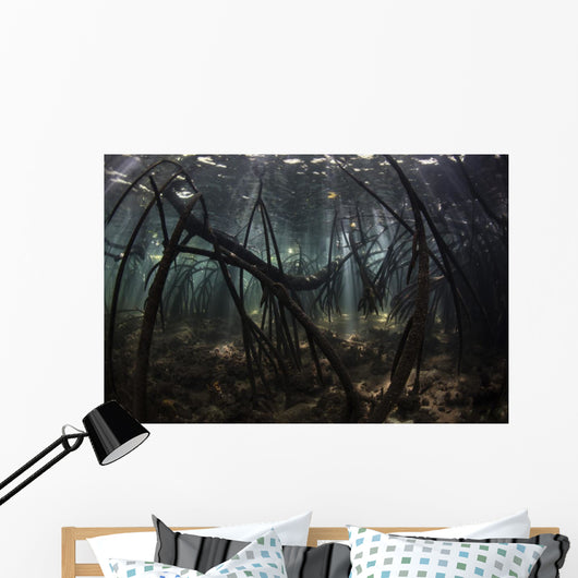 Bright Sunbeams Filter Sandy Bottom Wall Decal