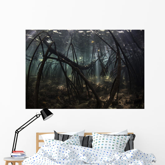 Bright Sunbeams Filter Sandy Bottom Wall Decal