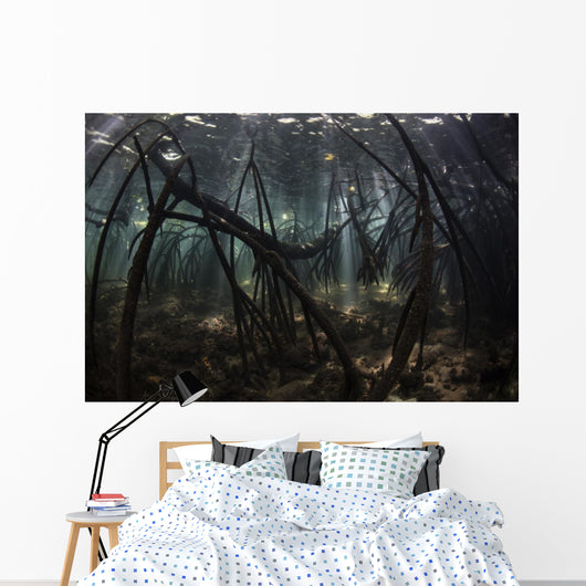 Bright Sunbeams Filter Sandy Bottom Wall Decal
