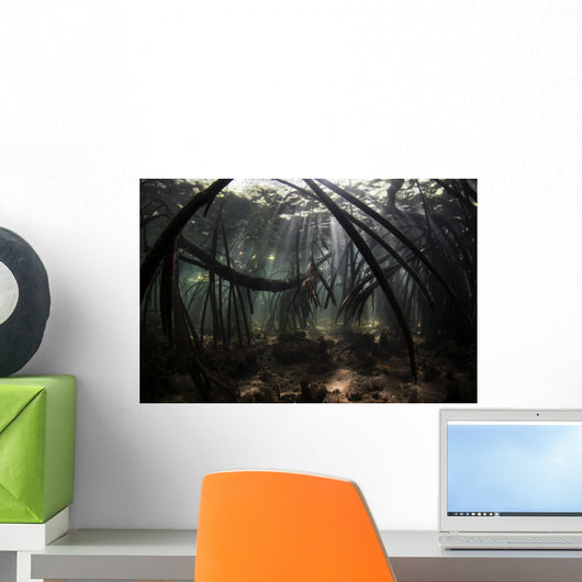 Bright Sunbeams Filter Underwater Wall Decal