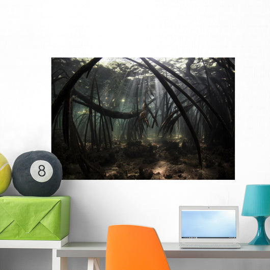 Bright Sunbeams Filter Underwater Wall Decal