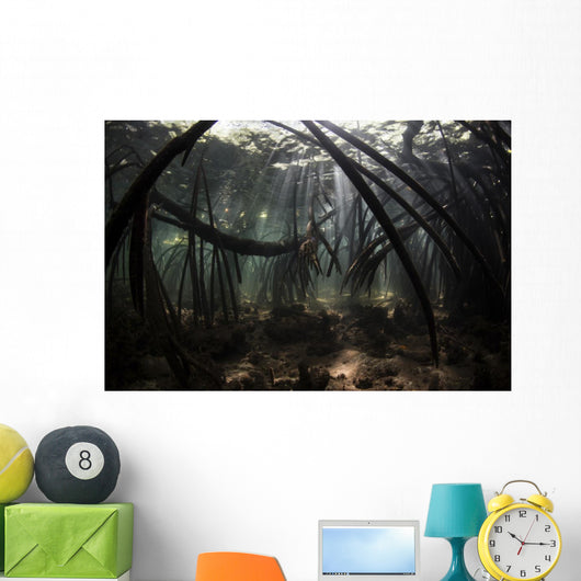 Bright Sunbeams Filter Underwater Wall Decal