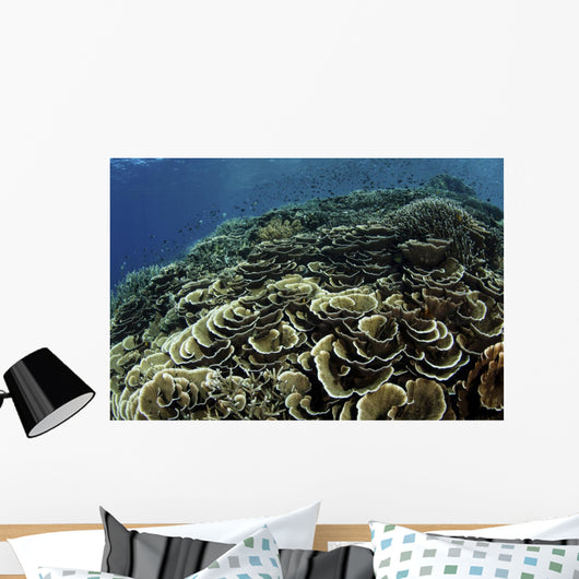Beautiful and Fragile Coral School of Fish Wall Decal