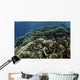 Beautiful and Fragile Coral School of Fish Wall Decal