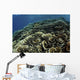 Beautiful and Fragile Coral School of Fish Wall Decal