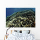 Beautiful and Fragile Coral School of Fish Wall Decal