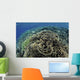 Beautiful and Fragile Coral Top View Wall Decal