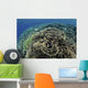 Beautiful and Fragile Coral Top View Wall Decal