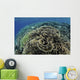 Beautiful and Fragile Coral Top View Wall Decal