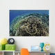 Beautiful and Fragile Coral Top View Wall Decal