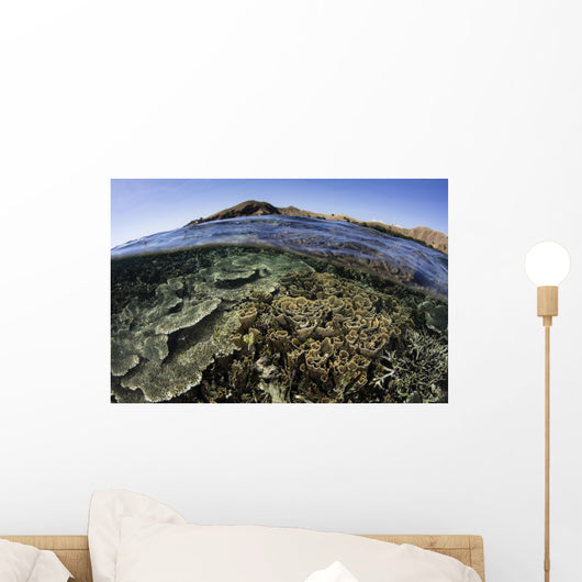 Beautiful and Fragile Coral Wall Decal