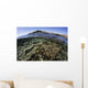 Beautiful and Fragile Coral Wall Decal