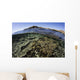 Beautiful and Fragile Coral Wall Decal