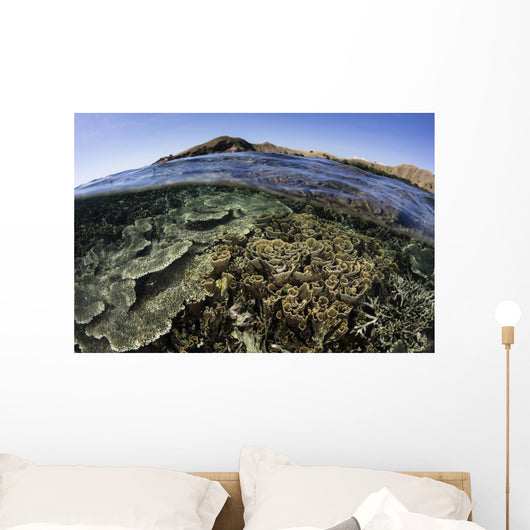 Beautiful and Fragile Coral Wall Decal