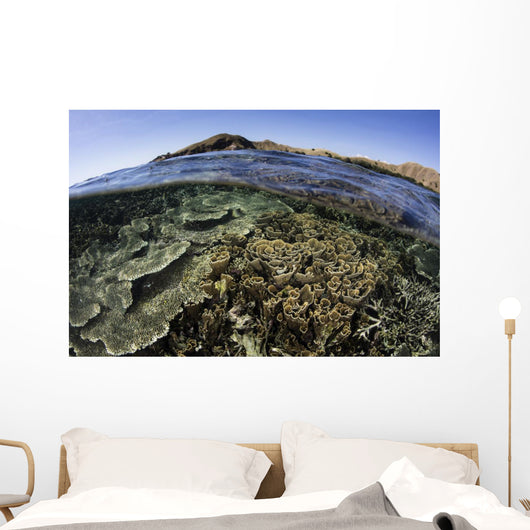 Beautiful and Fragile Coral Wall Decal