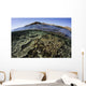 Beautiful and Fragile Coral Wall Decal
