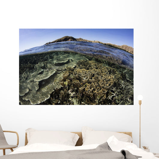 Beautiful and Fragile Coral Wall Decal