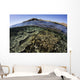 Beautiful and Fragile Coral Wall Decal