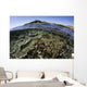 Beautiful and Fragile Coral Wall Decal