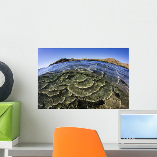 Beautiful and Fragile Coral Layers Wall Decal