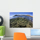 Beautiful and Fragile Coral Layers Wall Decal