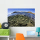Beautiful and Fragile Coral Layers Wall Decal