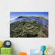 Beautiful and Fragile Coral Layers Wall Decal