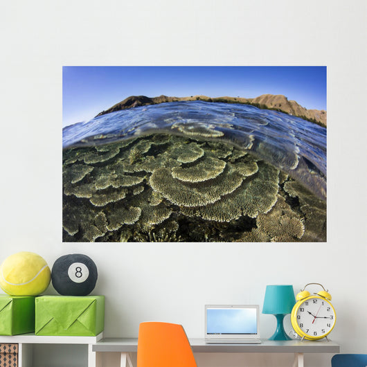 Beautiful and Fragile Coral Layers Wall Decal