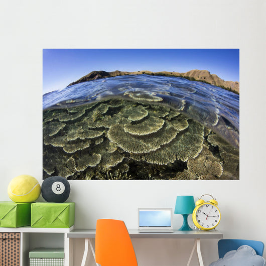 Beautiful and Fragile Coral Layers Wall Decal