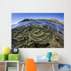 Beautiful and Fragile Coral Layers Wall Decal