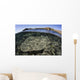 Beautiful and Fragile Coral Underwater Wall Decal
