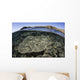 Beautiful and Fragile Coral Underwater Wall Decal