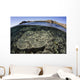 Beautiful and Fragile Coral Underwater Wall Decal