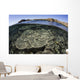 Beautiful and Fragile Coral Underwater Wall Decal