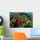 Spinecheek Anemonefish Wims near Wall Decal