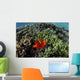 Spinecheek Anemonefish Wims near Wall Decal
