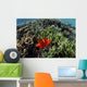 Spinecheek Anemonefish Wims near Wall Decal
