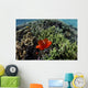 Spinecheek Anemonefish Wims near Wall Decal
