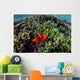 Spinecheek Anemonefish Wims near Wall Decal