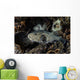 Large Map Pufferfish Swims Wall Decal