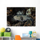 Large Map Pufferfish Swims Wall Decal