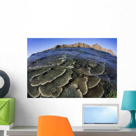 Beautiful and Fragile Coral Waves Wall Decal