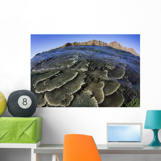 Beautiful and Fragile Coral Waves Wall Decal