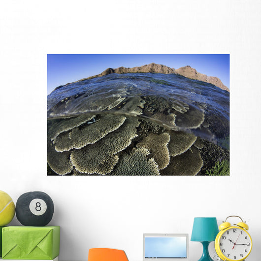 Beautiful and Fragile Coral Waves Wall Decal