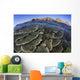 Beautiful and Fragile Coral Waves Wall Decal