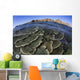 Beautiful and Fragile Coral Waves Wall Decal