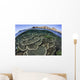 Beautiful and Fragile Coral Looking Down Wall Decal