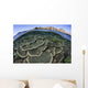 Beautiful and Fragile Coral Looking Down Wall Decal